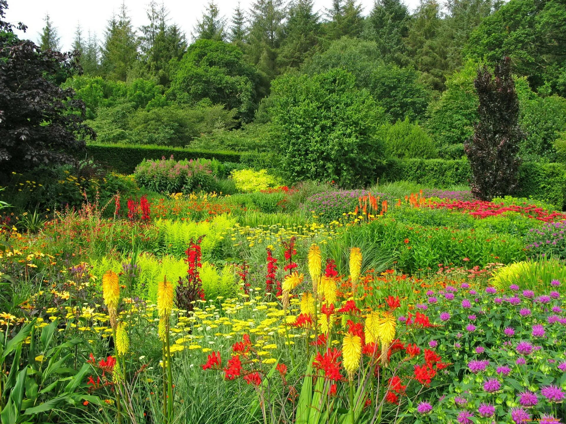 Флауэрс Гарден парк. Удивительная красота растений. Сад с цветами. Цветы летние садовые. Природа растения картинки