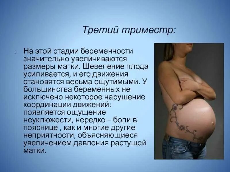 На каком сроке беременности чувствуется шевеление. На каком сроке беременности чувствуется шевеление