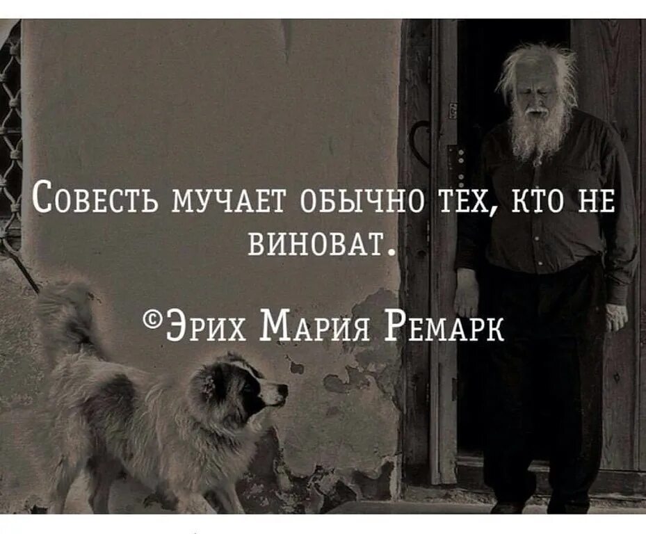 Ненавидящий мучавшийся. Фразы про чувство вины. Совесть иллюстрация. Виноватым афоризмы. Мучает совесть юмор.