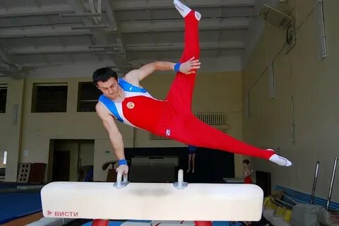 Спортивная гимнастика стандарт подготовки