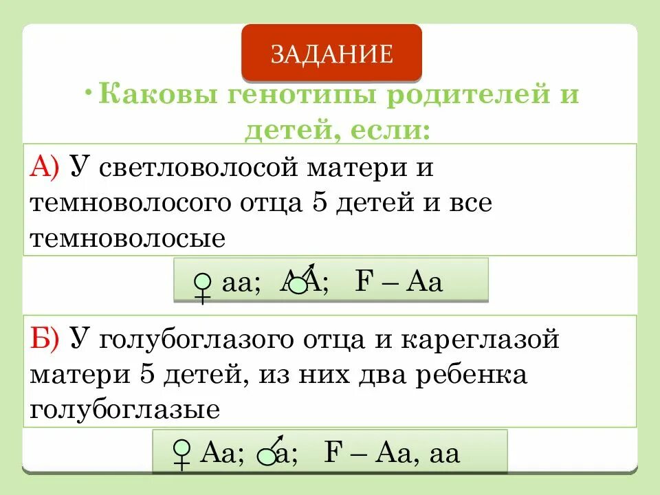 Генотип голубоглазых. Каковы генотипы. генотип родителей и ребенка. генотипы родителей. каковы генотипы матери, отца и ребёнка?.