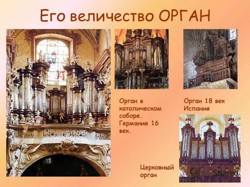 Его величество орган. Устройство органа музыкального инструмента. изображение органа музыкального инструмента. орган 16 века.