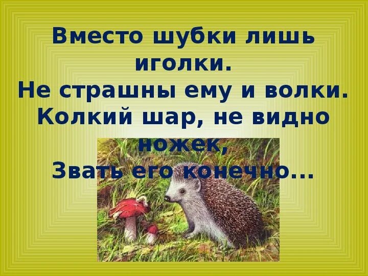 Еж Спаситель Бианки. Ежик пришвин. Бианки еж. Рассказ еж Спаситель. Основная мысль текста ежик