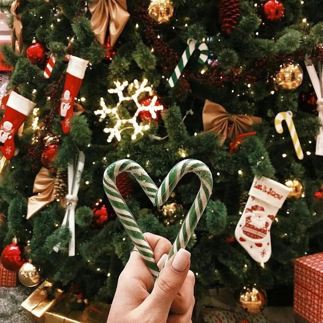 Девушка новый год. Новогодняя эстетика. Рождество эстетика. Новогодняя эстетика. Новый год эстетика.