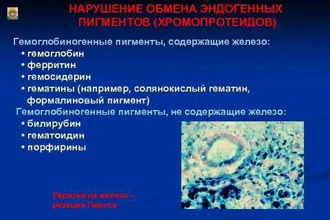 Гемоглобиногенные пигменты