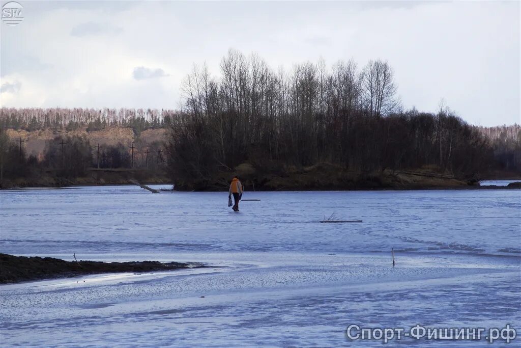 Погода в мордино