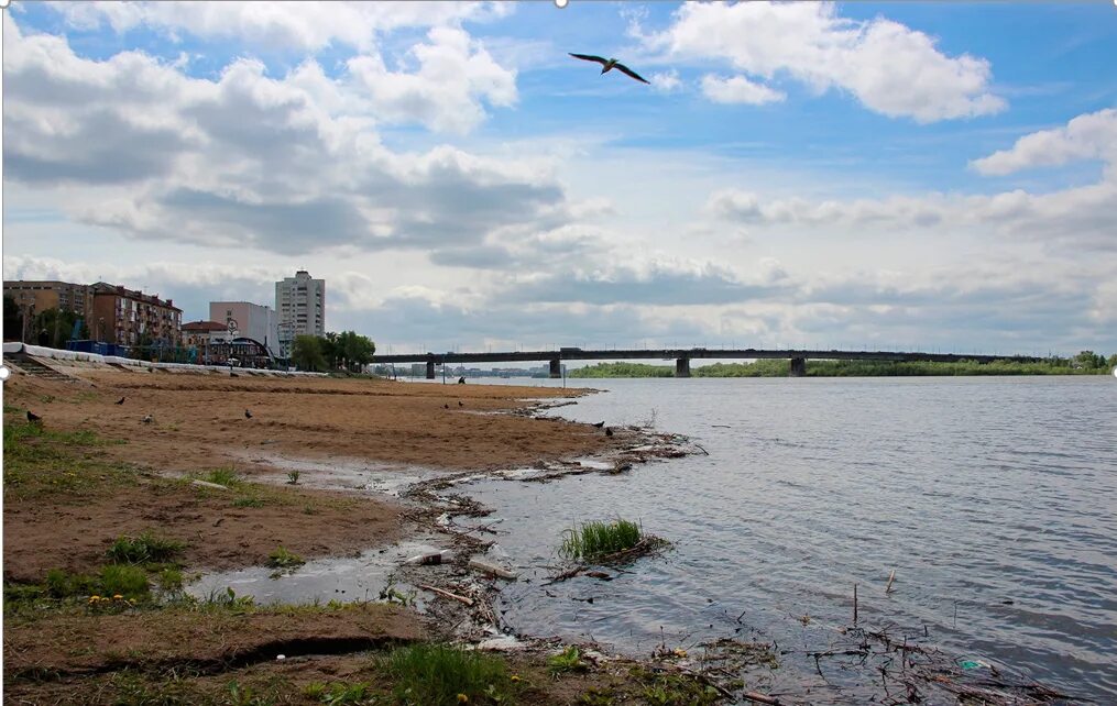 Река Иртыш Омск. Грязный Иртыш в Омске. Загрязнение Иртыша в Омске. Река Иртыш Омская область загрязнение.