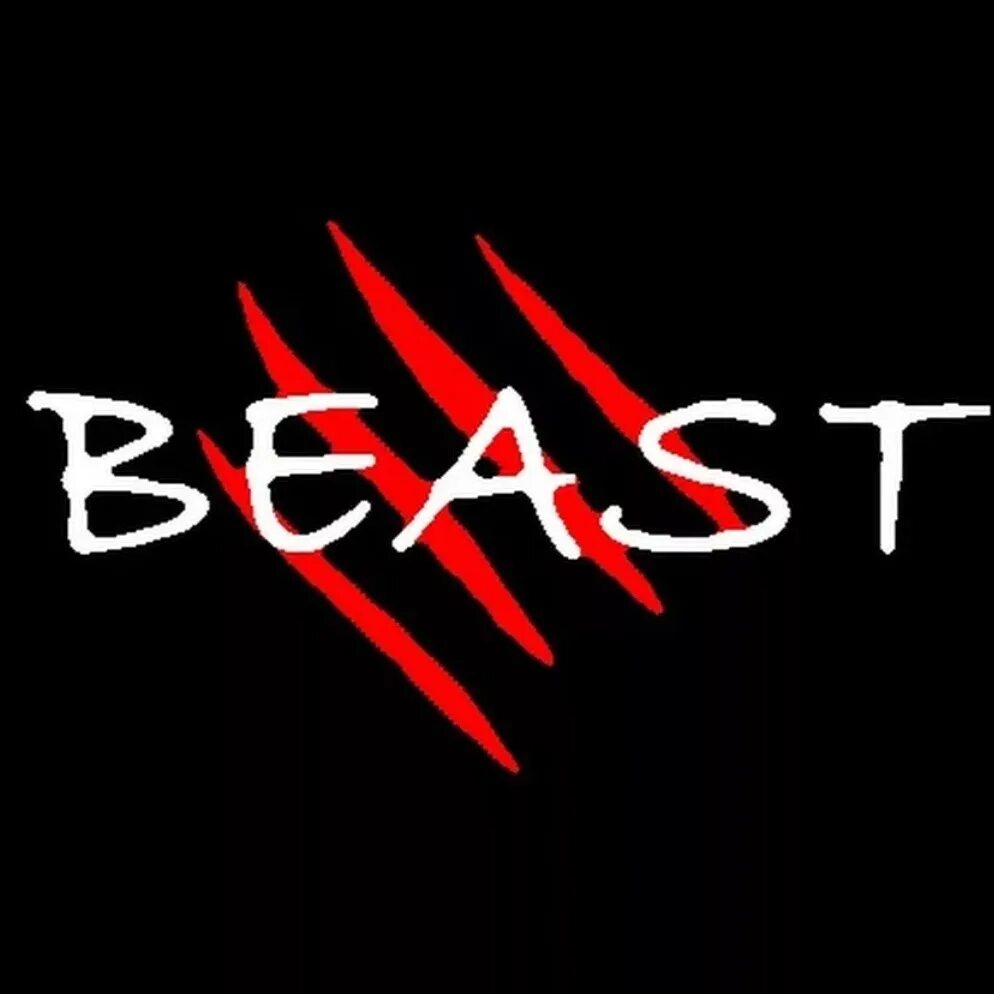 Магазин mrbeast. Мистер бист тигр. Значок мистера биста. Игра мистера биста. Мр бист.