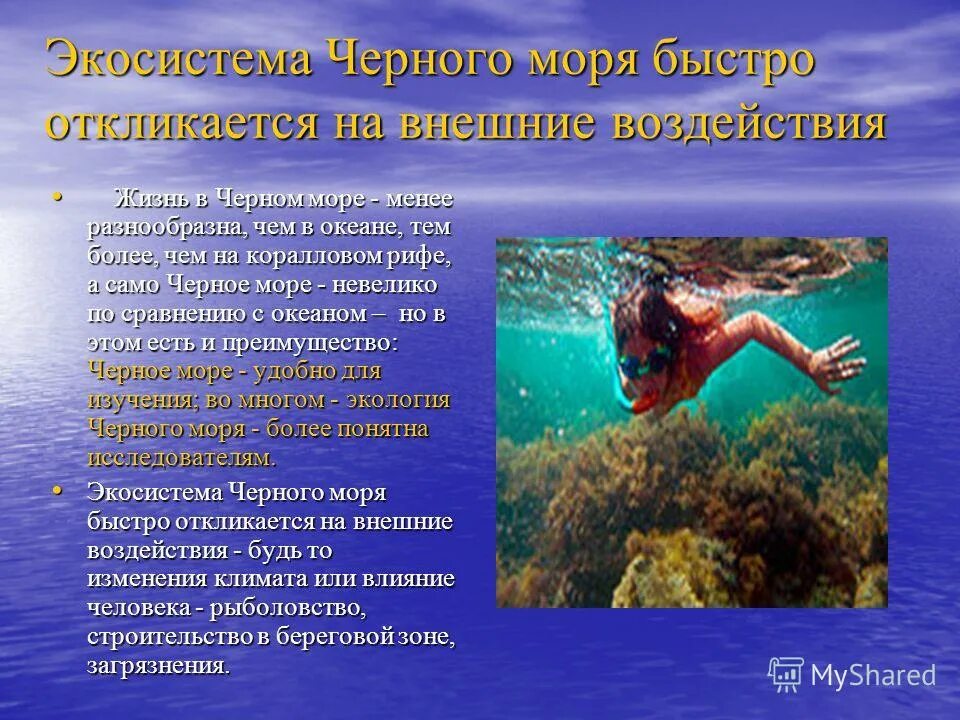 Экологические проблемы и их решения черного моря. Загрязнение воды. Экологические проблемы и их решения черного моря. Сообщение экологические проблемы черного моря. Пути решения экологических проблем черного моря.