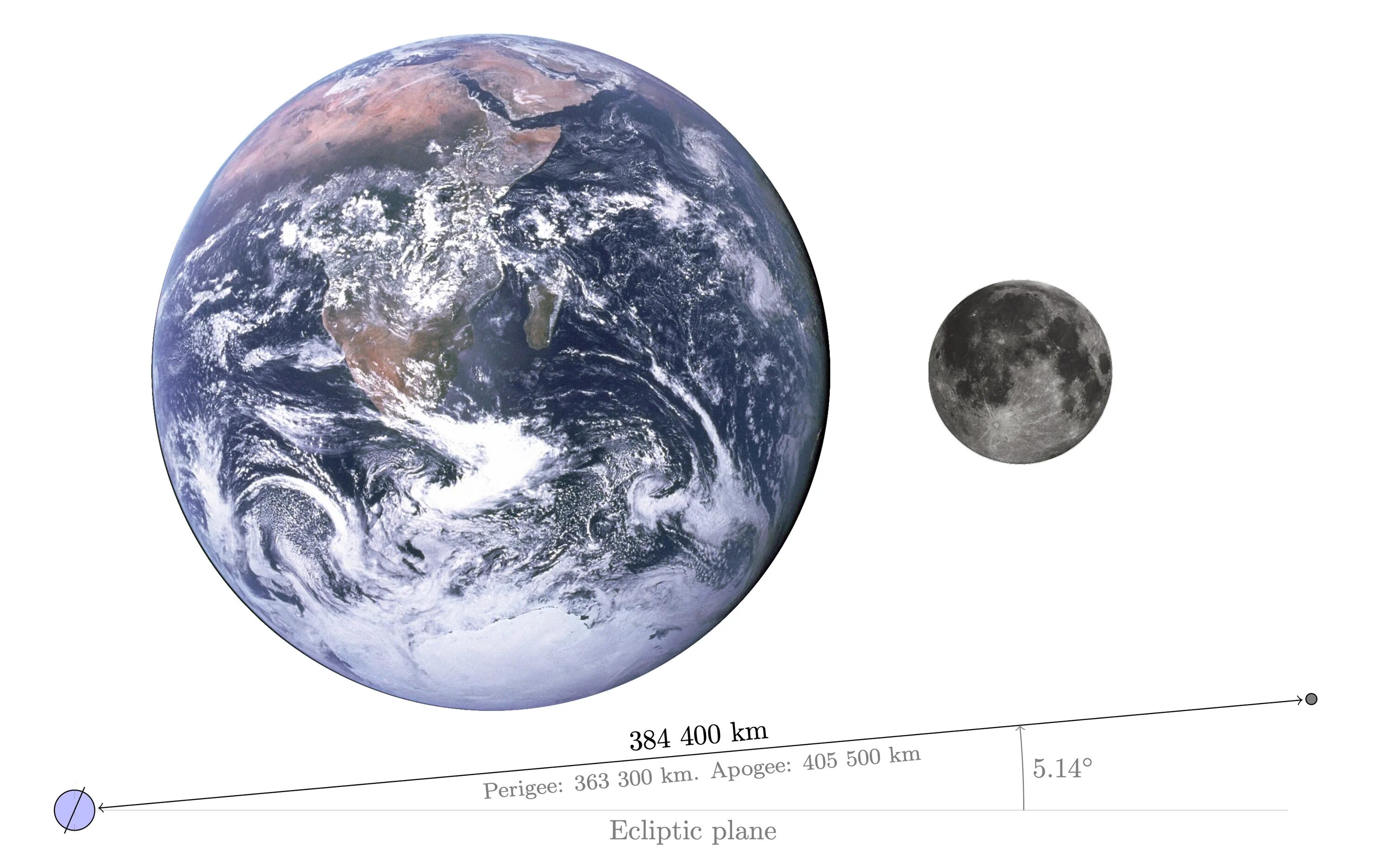 Что больше луна или земля. Земля и Луна в масштабе. Масштаб Луны. Луна и земля реальный масштаб. От земли до Луны в масштабе.