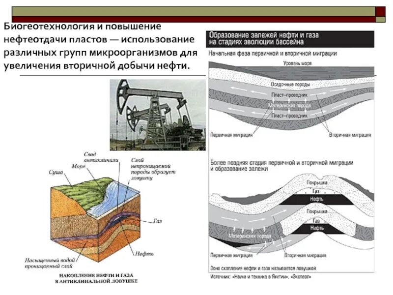 Пласт добыча. Биогеотехнология и повышение нефтеотдачи пластов. Повышение нефтеотдачи пластов. Микробиологический метод повышения нефтеотдачи. Микробиологические методы увеличения нефтеотдачи пластов.