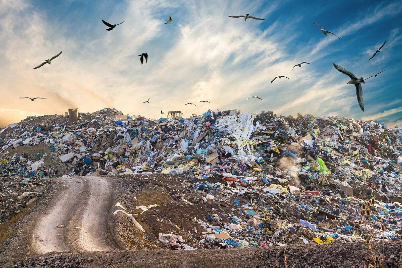 Create dump