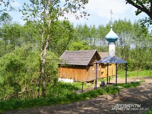 Родник смоленск. Святой источник Николо-Яровня. Калужская область Святой источник Николая Чудотворца. Святая Яровня Смоленск. Святая Яровня Кардымовский район.