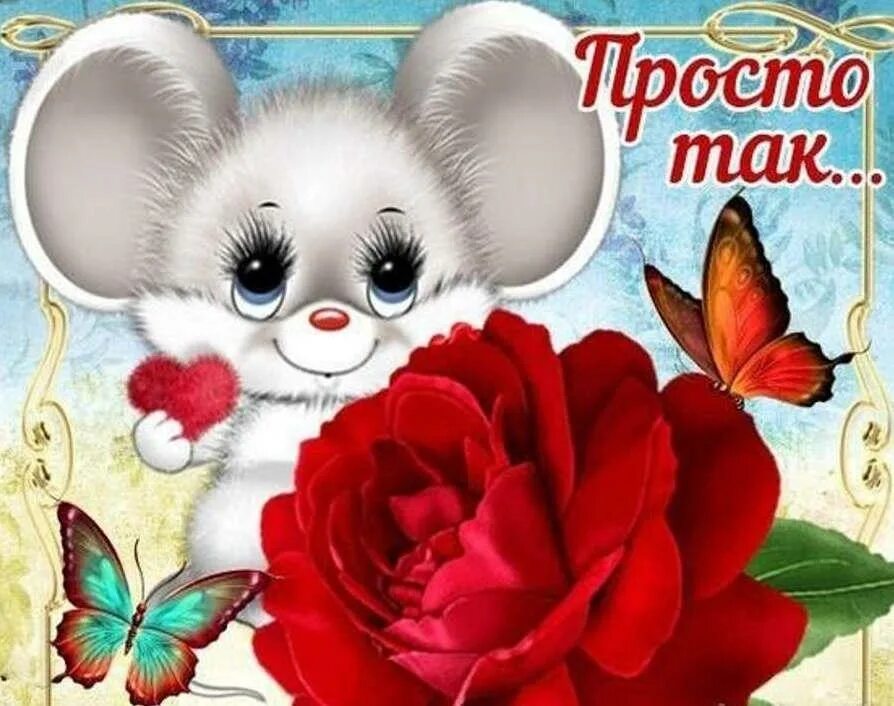 Картинки для девушки для настроения. Просто так для настроения. Открытка "просто так". Открытки просто так для настроения. Простое поздравление.