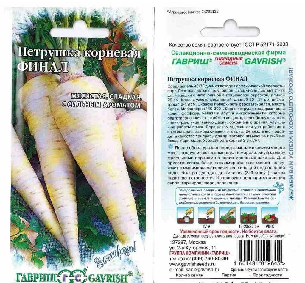 Петрушка выкапывать ли на зиму. Петрушка корневая. корень петрушки. петрушка сорта семена. корень петрушки срок хранения.