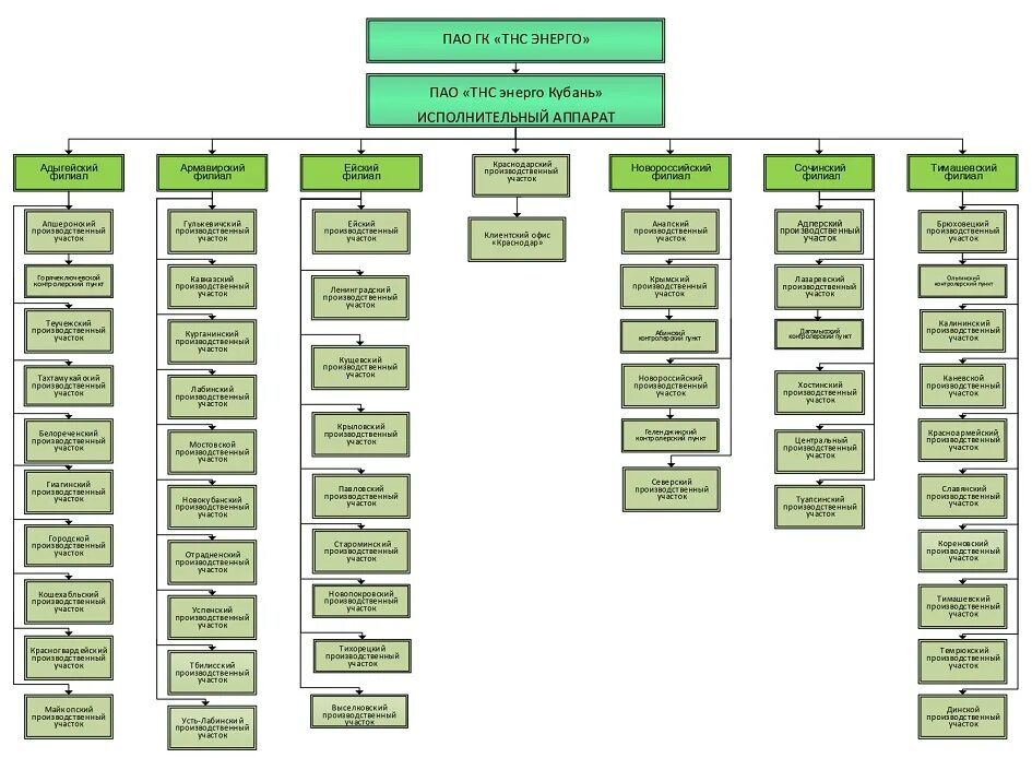 Оргструктура предприятия с филиалами. Структура управления пик. Организационная структура ООО Кубань-вино. Организационная структура фирмы Ангстрем.