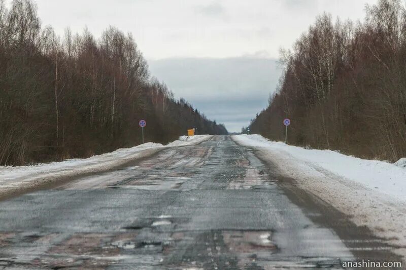 Дорога от пошехонья до череповца. Дорога рыбинск пошехонье. Череповец дороги. Дорога рыбинск пошехонье. Большое село рыбинск.