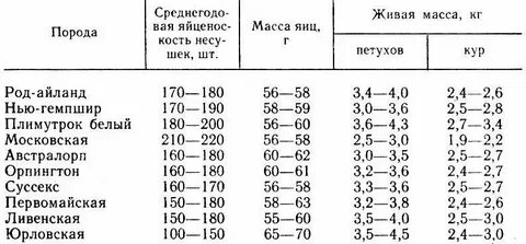 Порода кур мясо яичной продуктивности 7 букв