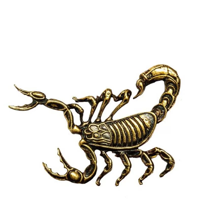 Профессия знака зодиака скорпион. Скорпион. знак зодиака скорпион. значок скорпиона. скорпион рисунок.