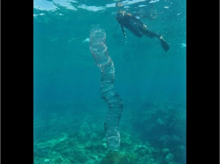 человек поднимается со дна. странные пятна на уличной плитке. большие серебристые пузыри поднимаются со дна. со дна поднимаются монстры. пузырьковые водоросли.
