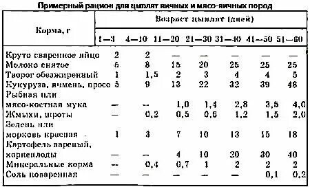 Кормление цыплят. Как кормить цыплят в первые дни жизни. Тихорецкие индюшата суточные. Цыпленок еда. Суточных цыплят.
