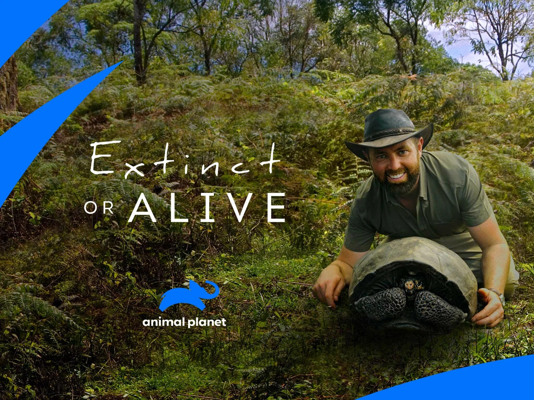 Анимал планет эфир. Энимал планет. Ведущий телеканала animal planet. Анимал планет эфир. Телеканал animal planet.
