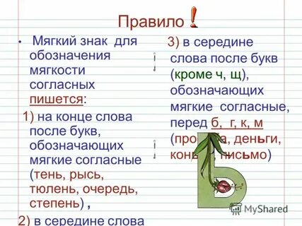 Слово из 3 букв последняя ь