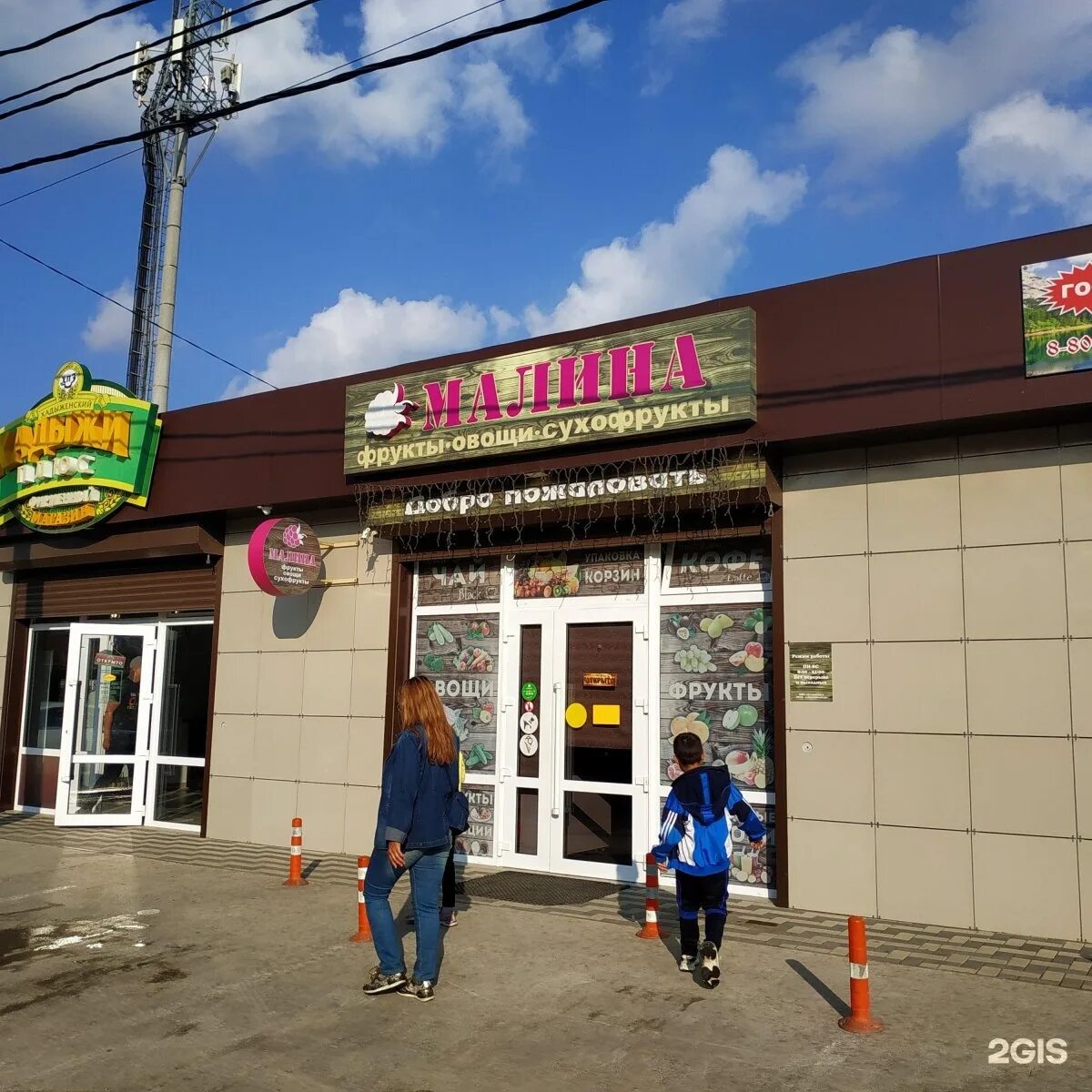 лесные ягоды малина. типография малина севастополь на борисова. малина обыкновенная. малина краснодар. малина краснодар.