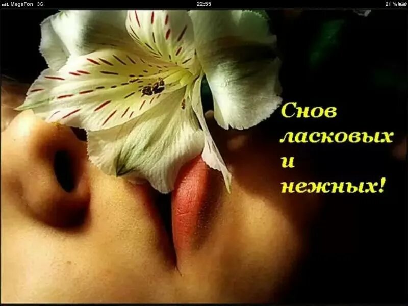 Добрый ночи любимый целую