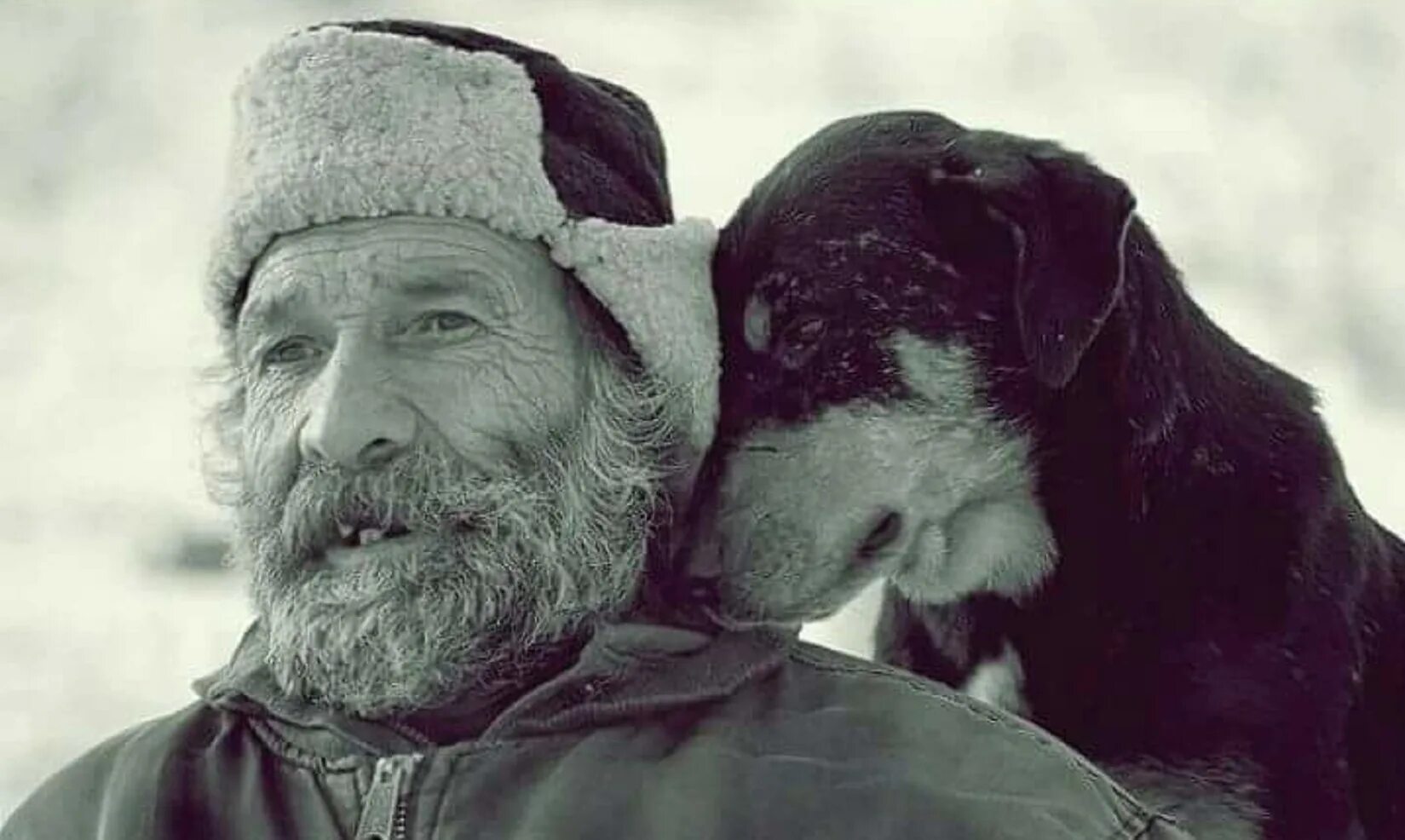 Стать проще добрее. Старик и пес. Старик и собака. Собака дед. Дедушка с собакой.