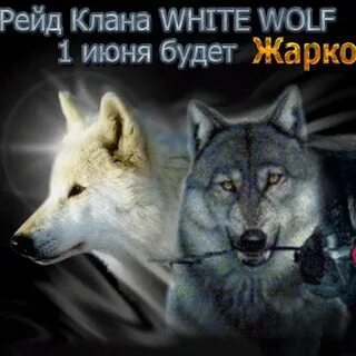 Слушать клан белого волка