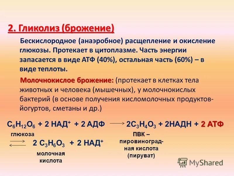 Какая минимальная энергия необходима для расщепления. Гликолиз бескислородный этап молочнокислое брожение. Формула бескислородного расщепления Глюкозы. Бескислородный этап энергетического обмена реакция. Этапы энергетического обмена гликолиз.