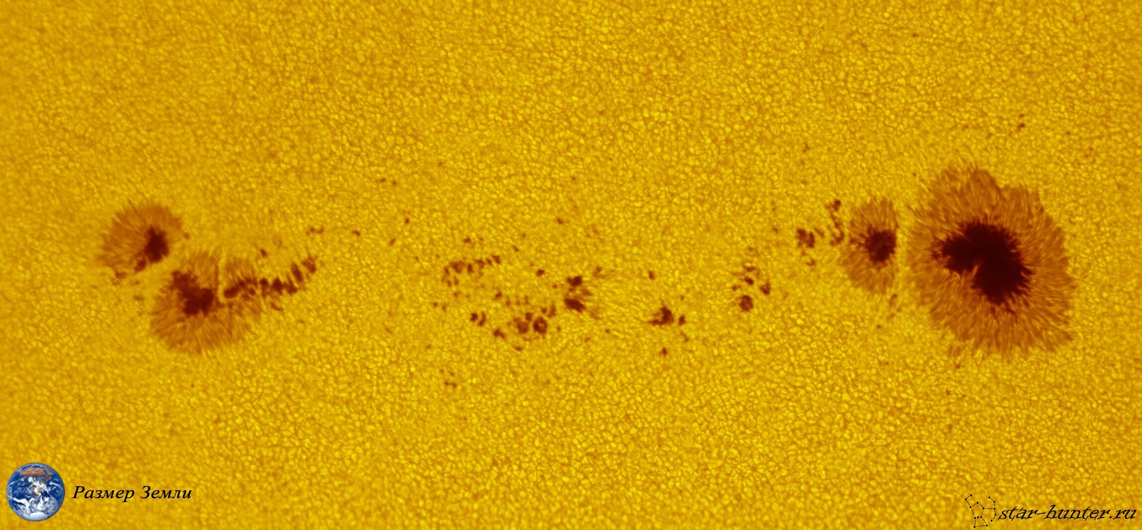 Размер пятна. Пятна на солнце. Снимок группы солнечных пятен. Солнечные пятна на воде. Солнечные пятна от деревьев.