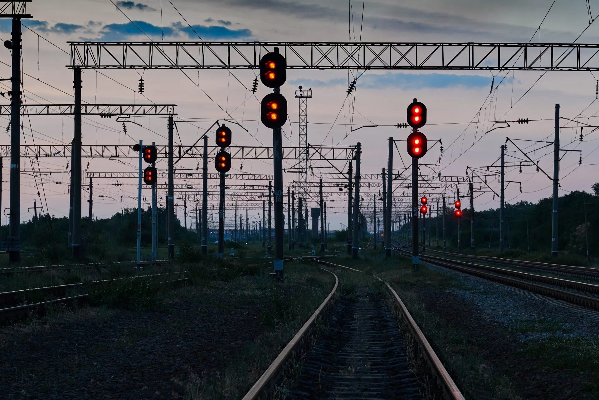 Signal view