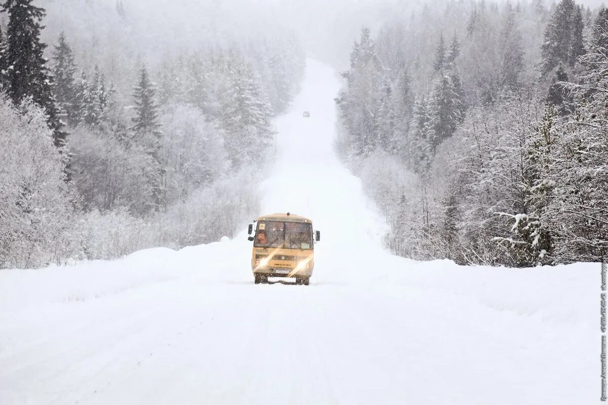 Автобус едет в горы. Автобус снег. Автобус на зимней дороге. Пазик зимой. Автобус в зимнем лесу.