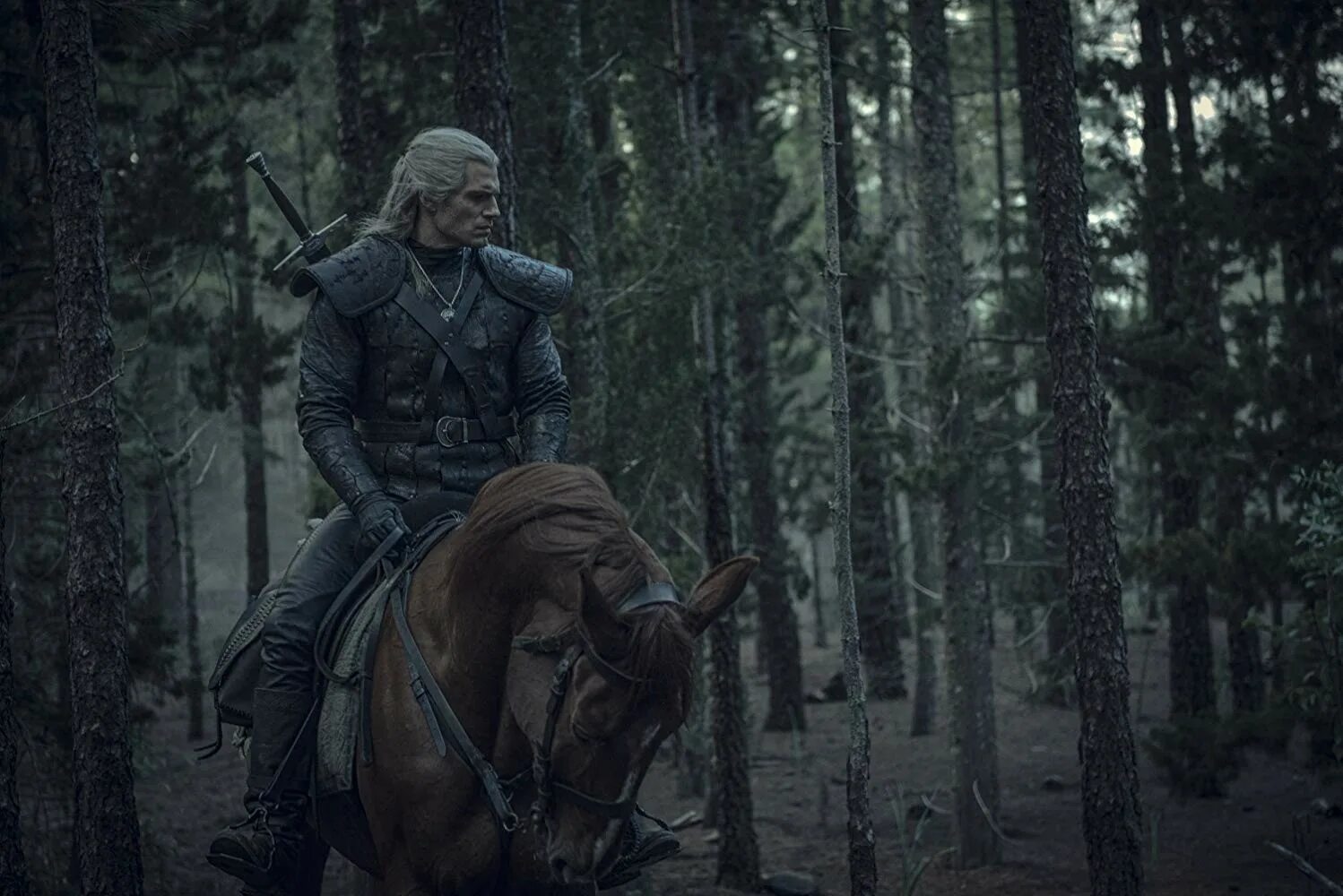 The witcher series
