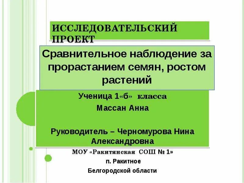 Презентация мастер - класса "Метод проектов как способ достижения современного о
