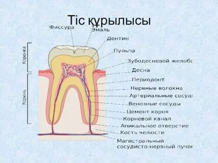 Свингерлер туралы толық метражды ресейлік порно фильмдер