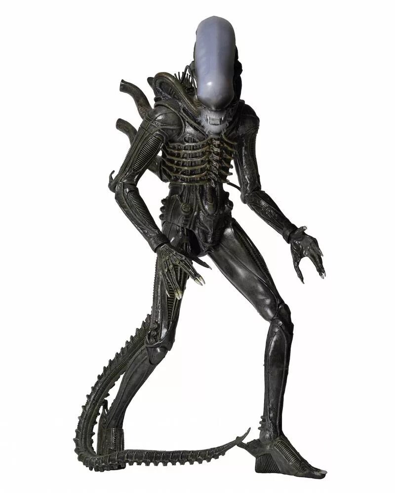 Чужой фигурка. Aliens xenomorph figure. Neca alien vs predator. Фигурка alien xenomorph q-fig. Чужой фигурка.