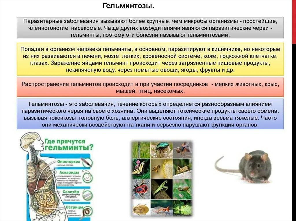 Профилактика паразитарных заболеваний мероприятия. Болезни, возбудителями которых являются паразитические черви:. Гельминтозы инфекционные болезни гельминты. Гельминтозы болезни вызываемые паразитическими червями. Инфекционные болезни гельминтозы, передаваемые водным путем.