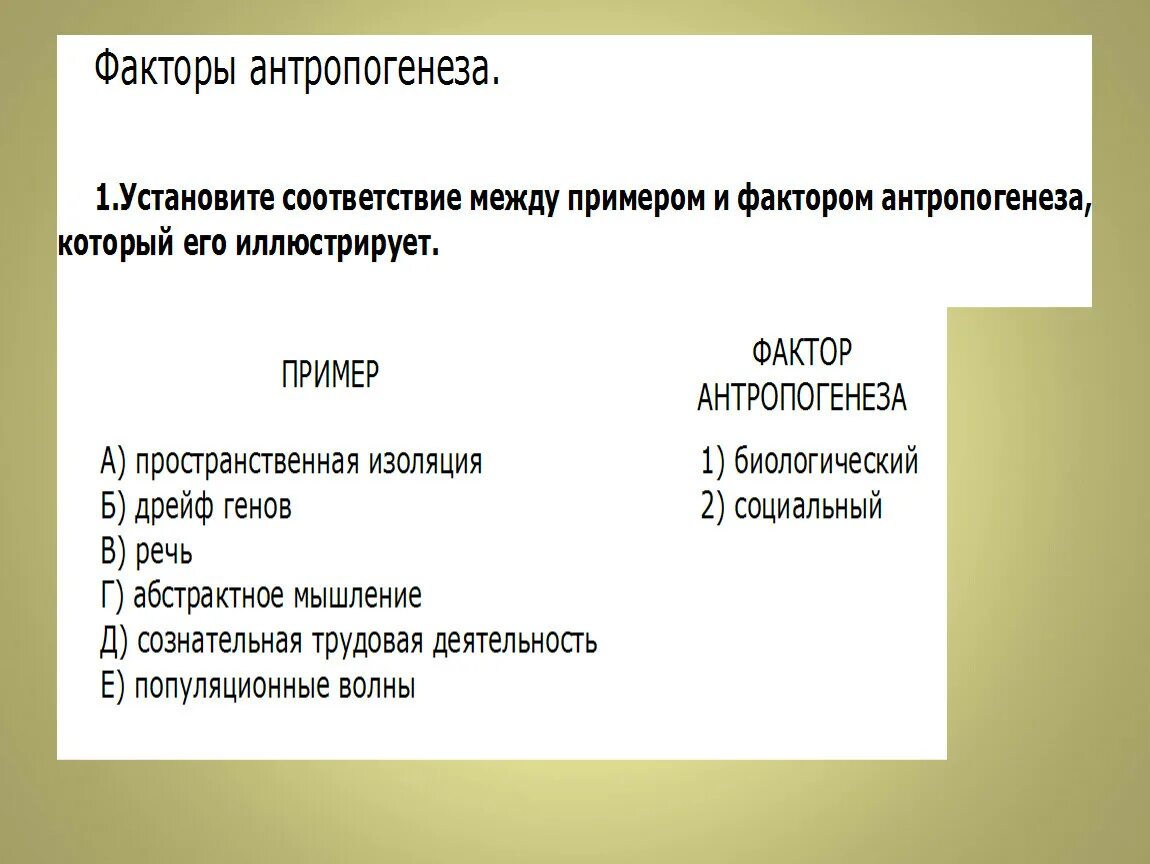 Факторы антропогенеза биологические и социальные. Социальные факторы антропогенеза. Биологические факторы антропогенеза. Факторы антропогенеза схема. К социальным факторам антропогенеза относятся