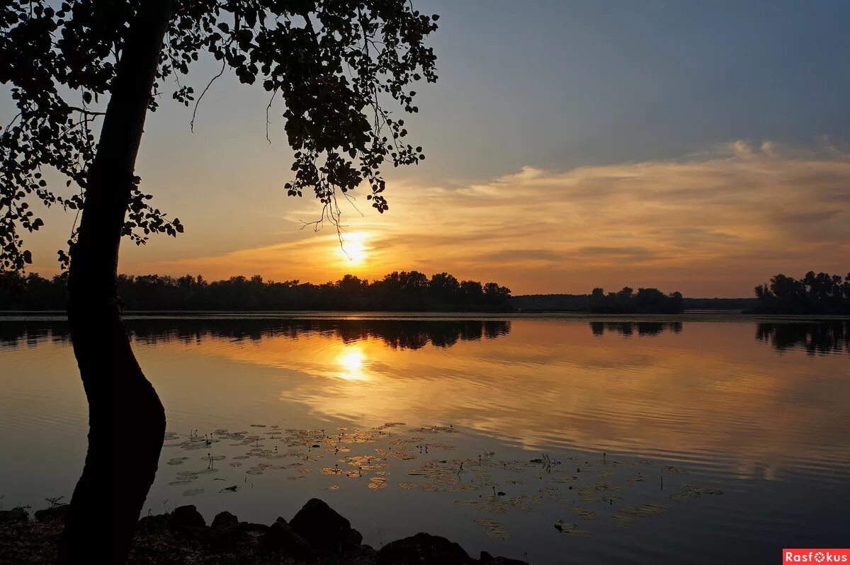 лето вечер закат. закат на озере. летний закат у реки. августовский вечер. лето вечер.
