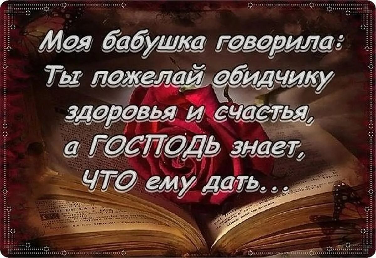 Пожелать плохого человеку. Умные мысли и высказывания. Пожелай обидчику здоровья и счастья. Мудрые фразы. Мудрые высказывания о жизни.