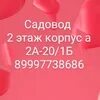 1 б садовод. 2а-01 садовод. 1 б садовод. Садовод 11 линия. Одежда от продукции meyle.