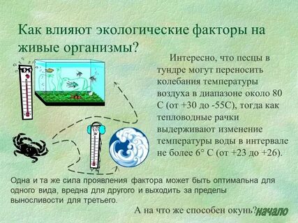 Основные факторы влияющие на температуру воздуха