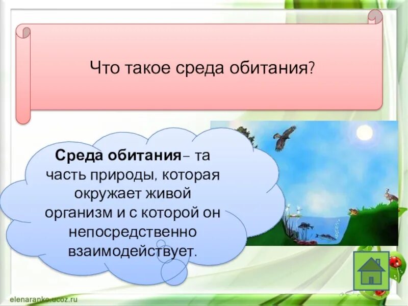 Среда обитания. Среда. Седа. Среда обитания это часть природы которая окружает живой.