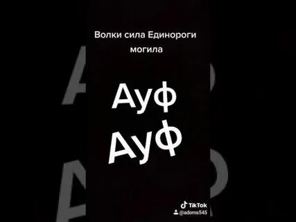 Слушать песни волки ауф