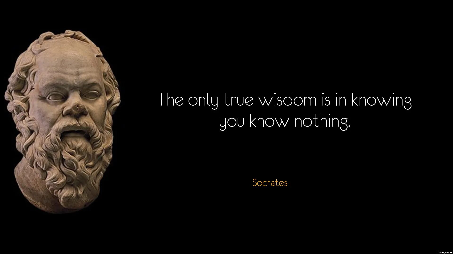 Wisdom перевод на русский. Сократ. Высказывания Сократа. Сократ цитаты. Мудрость Сократа.