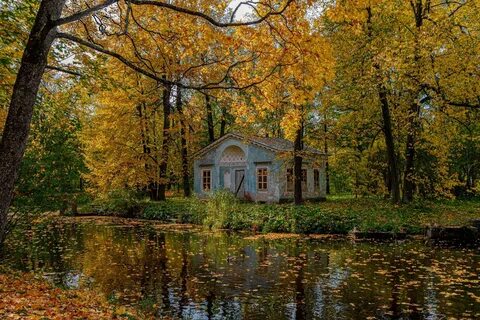 Дома царское село тольятти