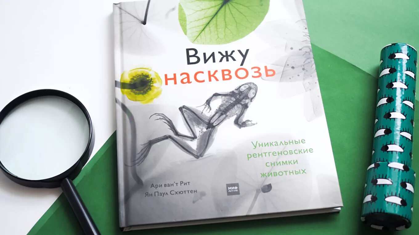 Книга я вижу о чем вы думаете. Книга «вижу насквозь». Видеть насквозь. Книга рентген динозавры.